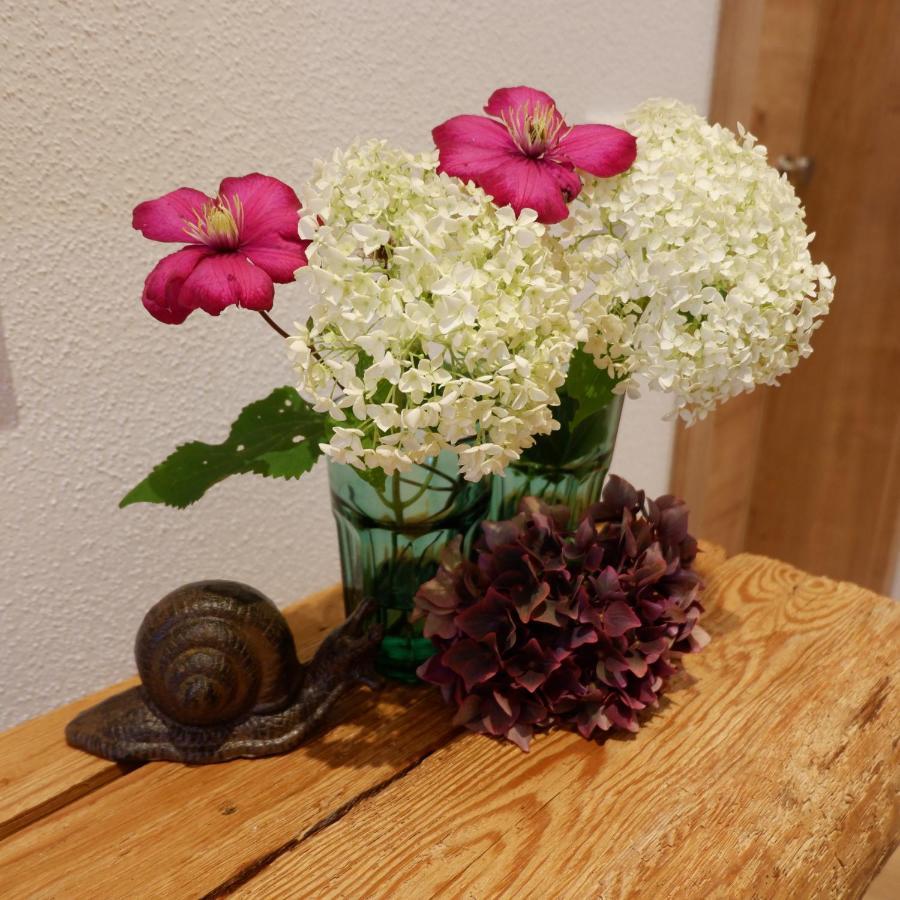 Hof Elf Apartment Ursensollen Ngoại thất bức ảnh